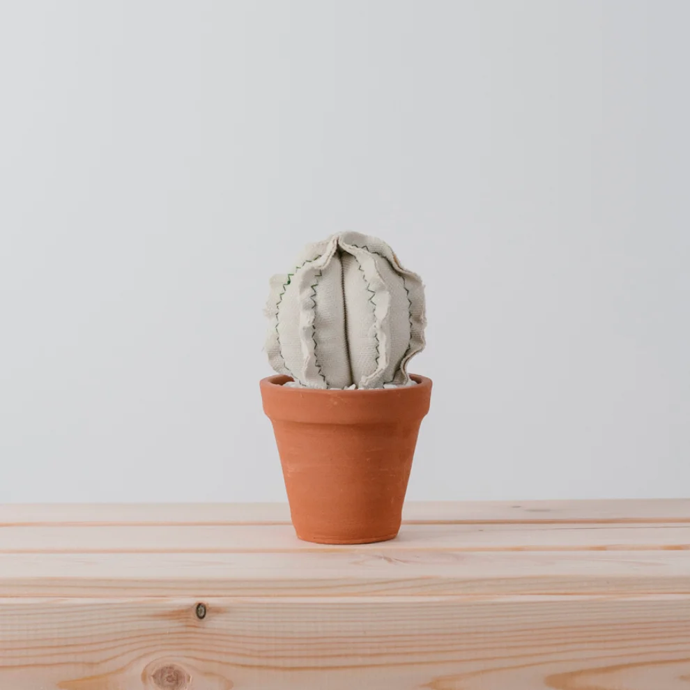 Dezirt - Small Barrel Cactus Pot