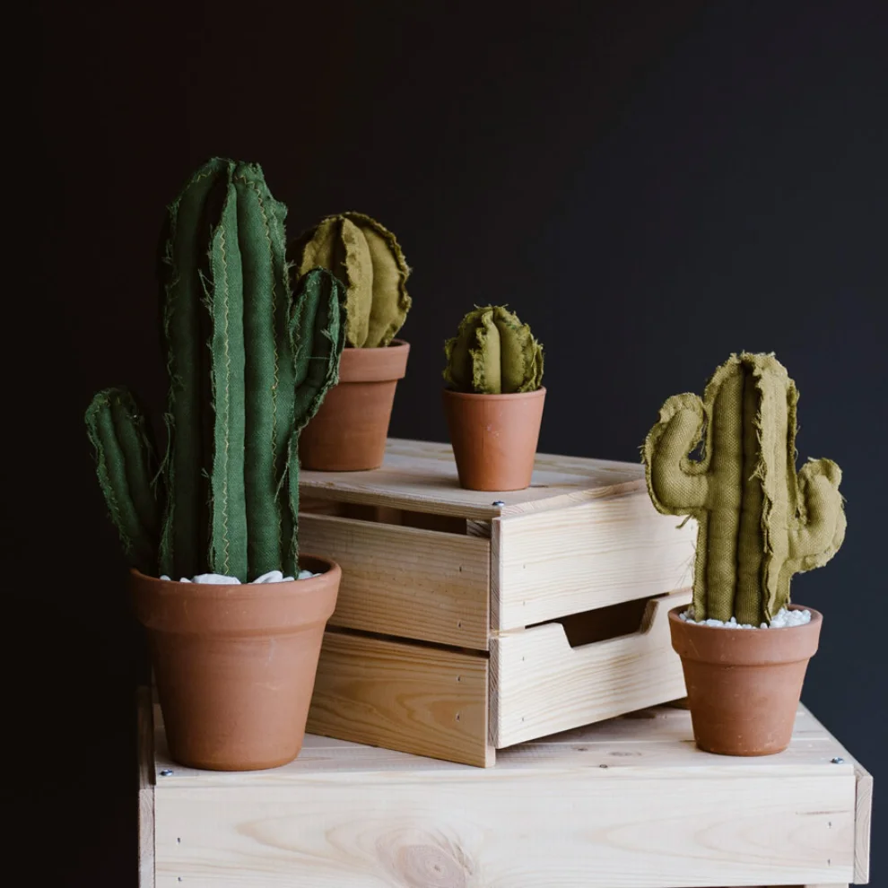 Dezirt - Small Barrel Cactus Pot - I