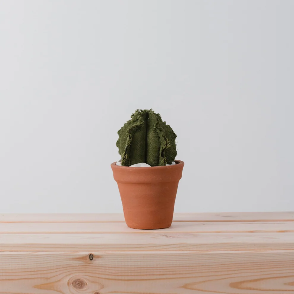 Dezirt - Small Barrel Cactus Pot - II