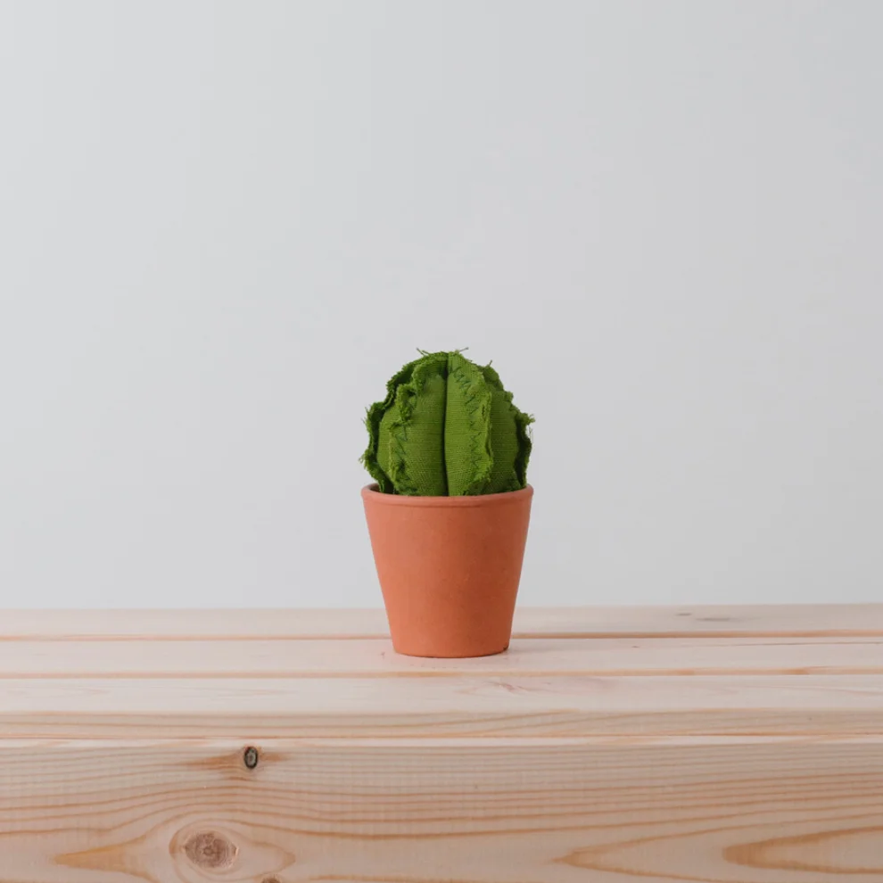 Dezirt - Mini Barrel Cactus Pot