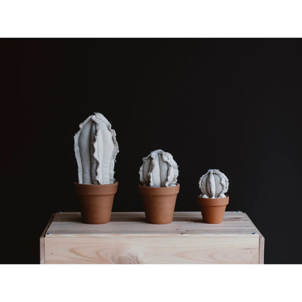 Dezirt - Mini Barrel Cactus Pot - I