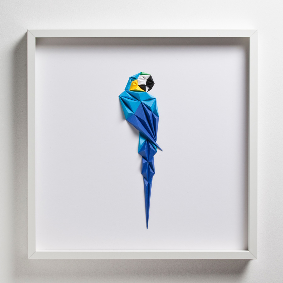 Blue Macaw Artwork