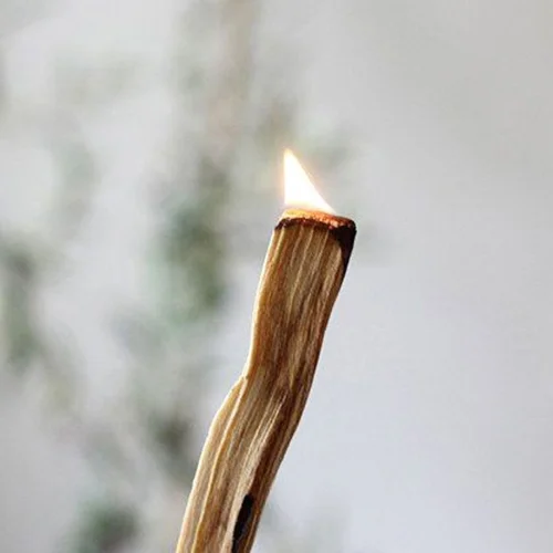 Coho Objet - Natural Palo Santo Incense Set Of 2