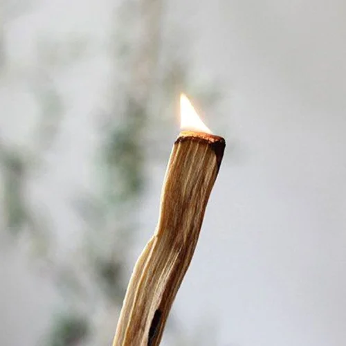 Coho Objet	 - Natural Palo Santo Incense Set Of 4