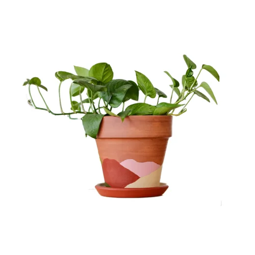 fi.dayy - Abstract No 01 - Terracotta Plant Pot