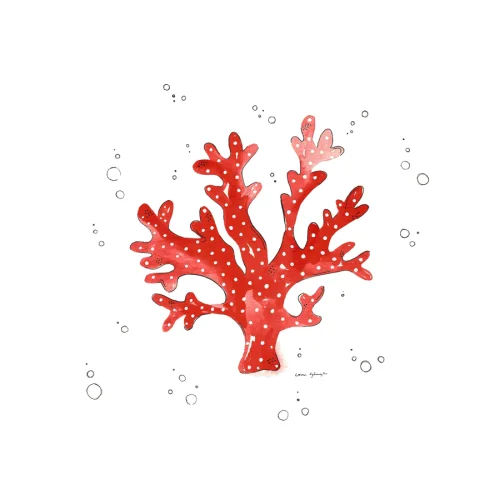 Kinderbow - Coral Edisyonlu Baskı