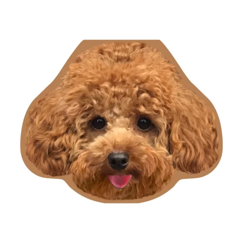 Cheerlabs - Happy Birthday Greeting Card With Music - Alf The Toypoodle