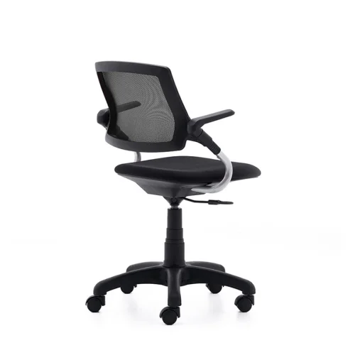 Rapido - Grace Home Office Task Chair