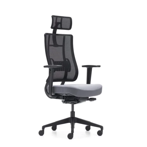 Rapido - X-Trans Office Chair