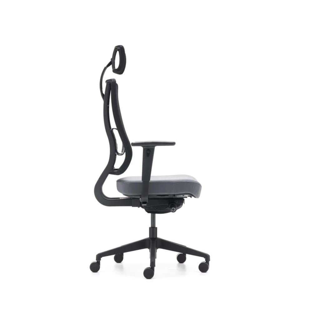 Rapido - X-Trans Office Chair