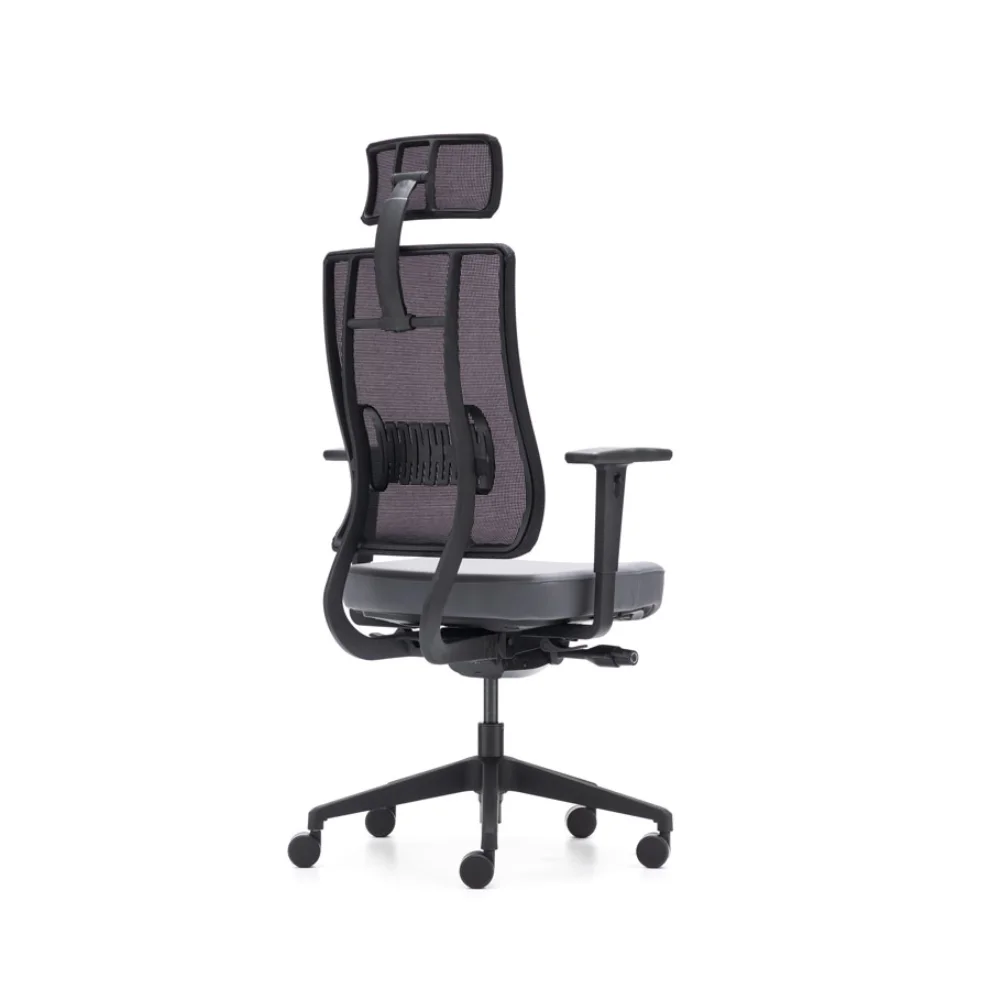 Rapido - X-Trans Office Chair