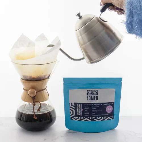 FAMEO Caffe - Guatemala San Pedro La Laguna Coffee Beans 250 G