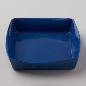 variant