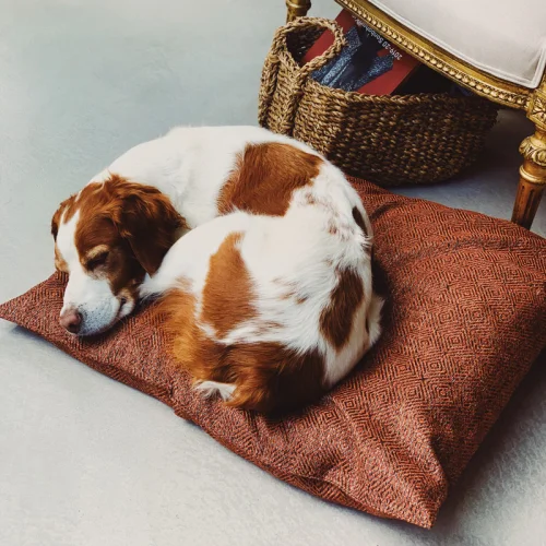 St. Pia - Makeba Floor Pillow