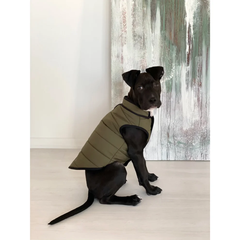St. Pia - Hive Dog Puffer Coat