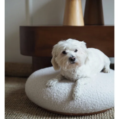 Tuca's Home - Teddy Pet Pouf