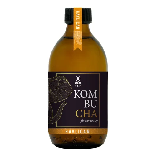 REM Kombucha - 6 Piece Galangal Fermented Tea