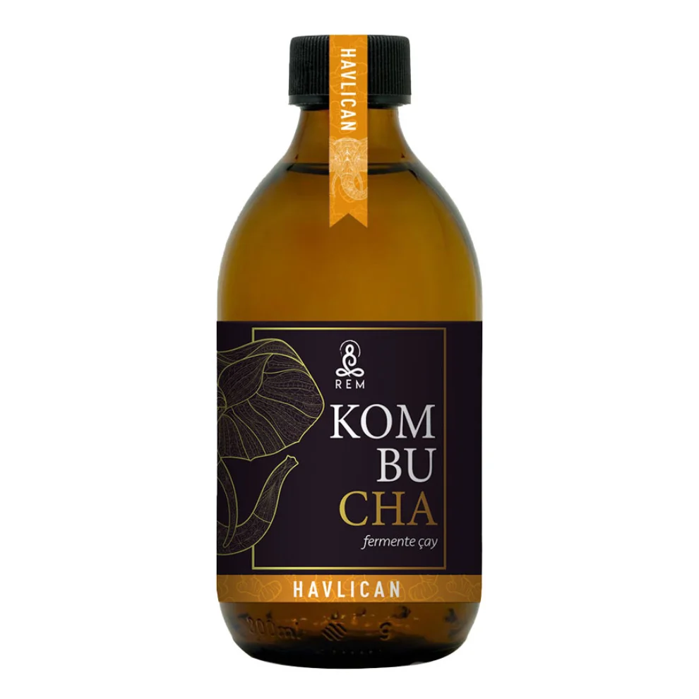 REM Kombucha - 6 Piece Galangal Fermented Tea