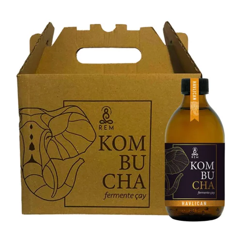 REM Kombucha - 6 Piece Galangal Fermented Tea