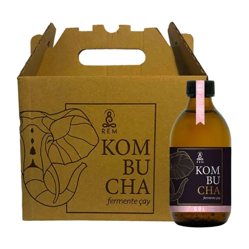 REM Kombucha - 6 Pcs Rose Fermented Tea