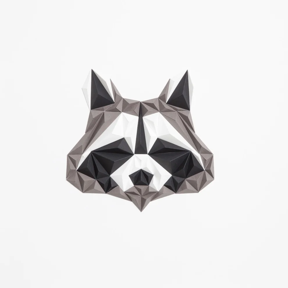 Paperpan	 - Mr. Raccoon Artwork