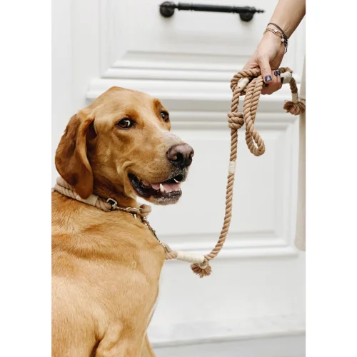 Nodo İstanbul - Dog Leash