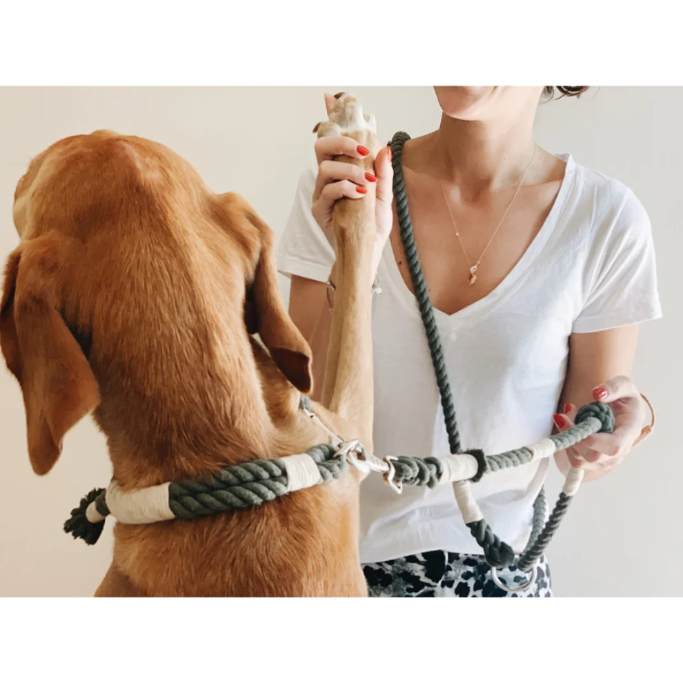 Nodo İstanbul - Handsfree Dog Leash
