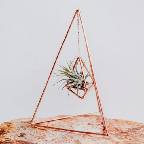variant