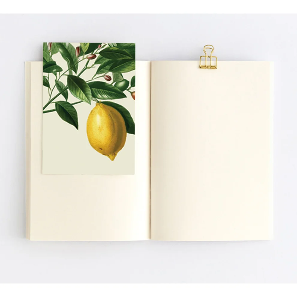 Paper Street Co. - Citrus Lemon - Notebook