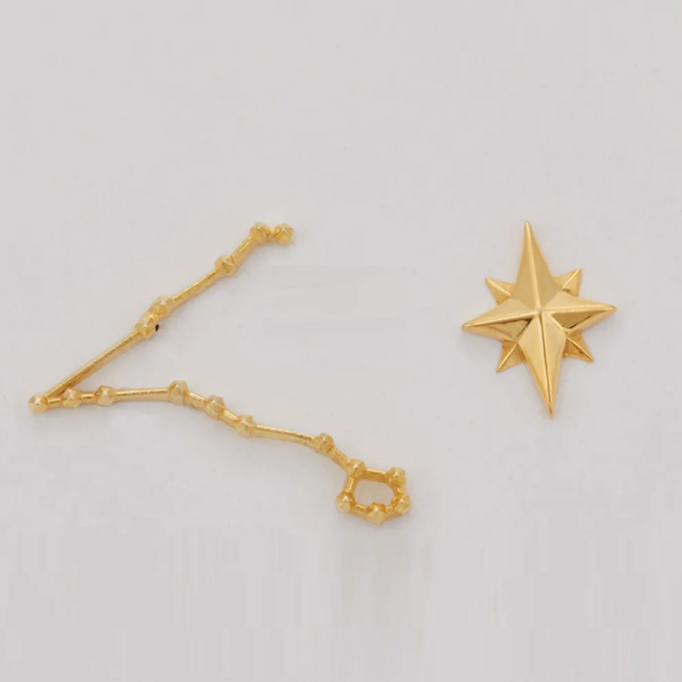 Dila Özoflu Jewelry - Zodiac Sign Earrings - Pisces