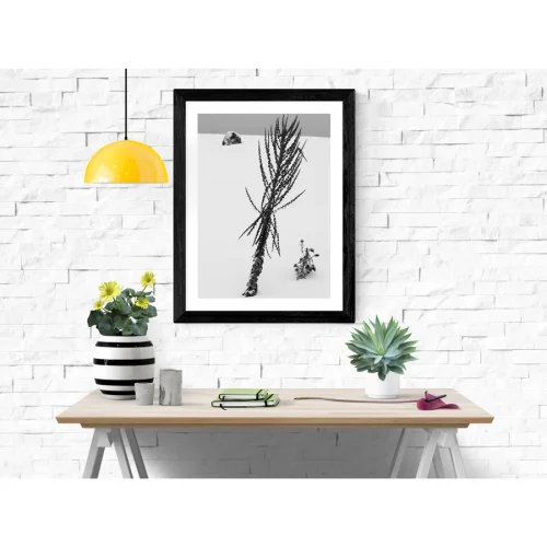 Studio Ovata - White Beauty Art Print