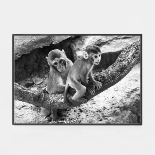 Studio Ovata - World Of Monkeys Art Print