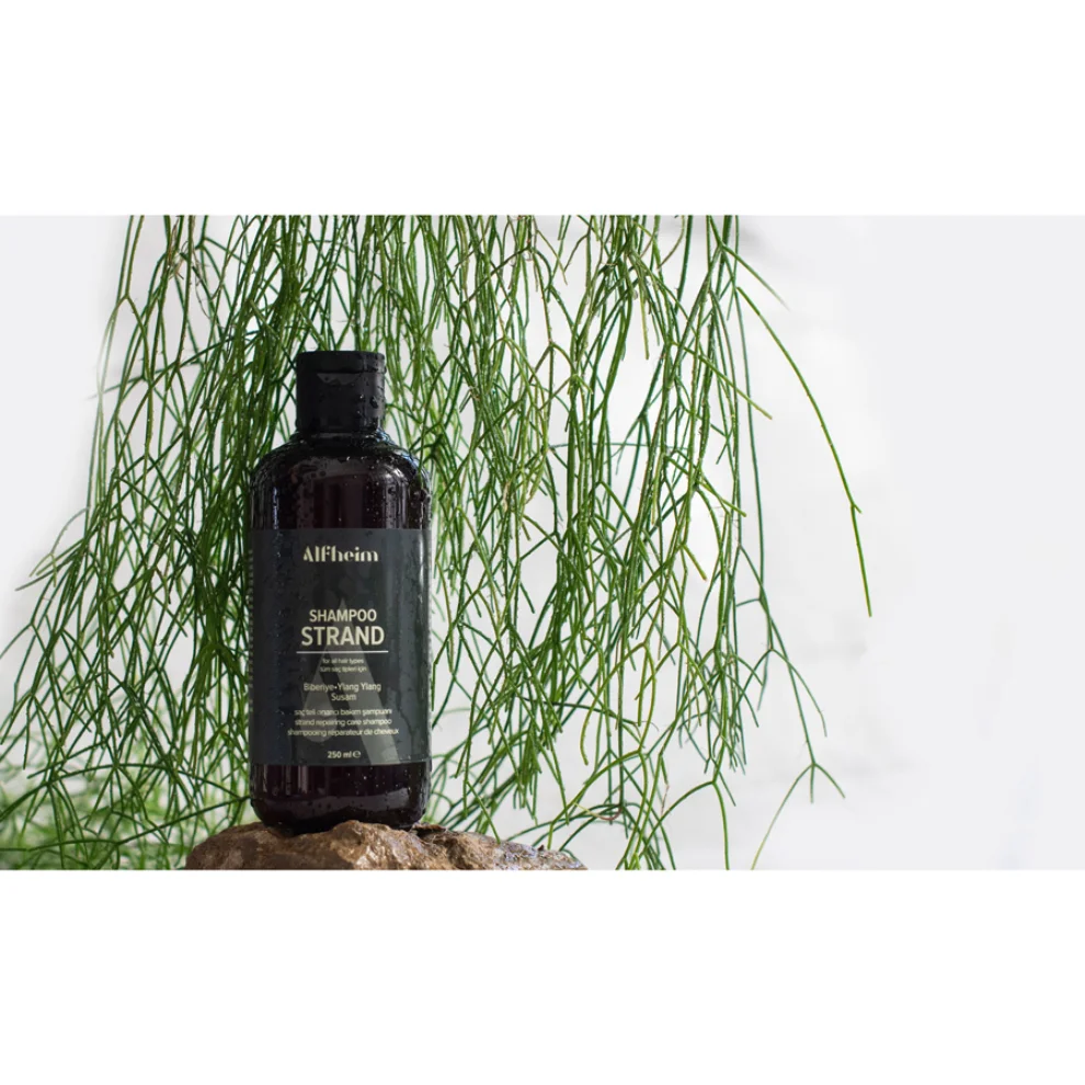 Alfheim Essential Oils & Aromatherapy - Shampoo Strand/ Saç Teli Güçlendirici/ Saç Teli Kalınlaştırıcı/ İnce Telli Saçlar Için/250 Ml