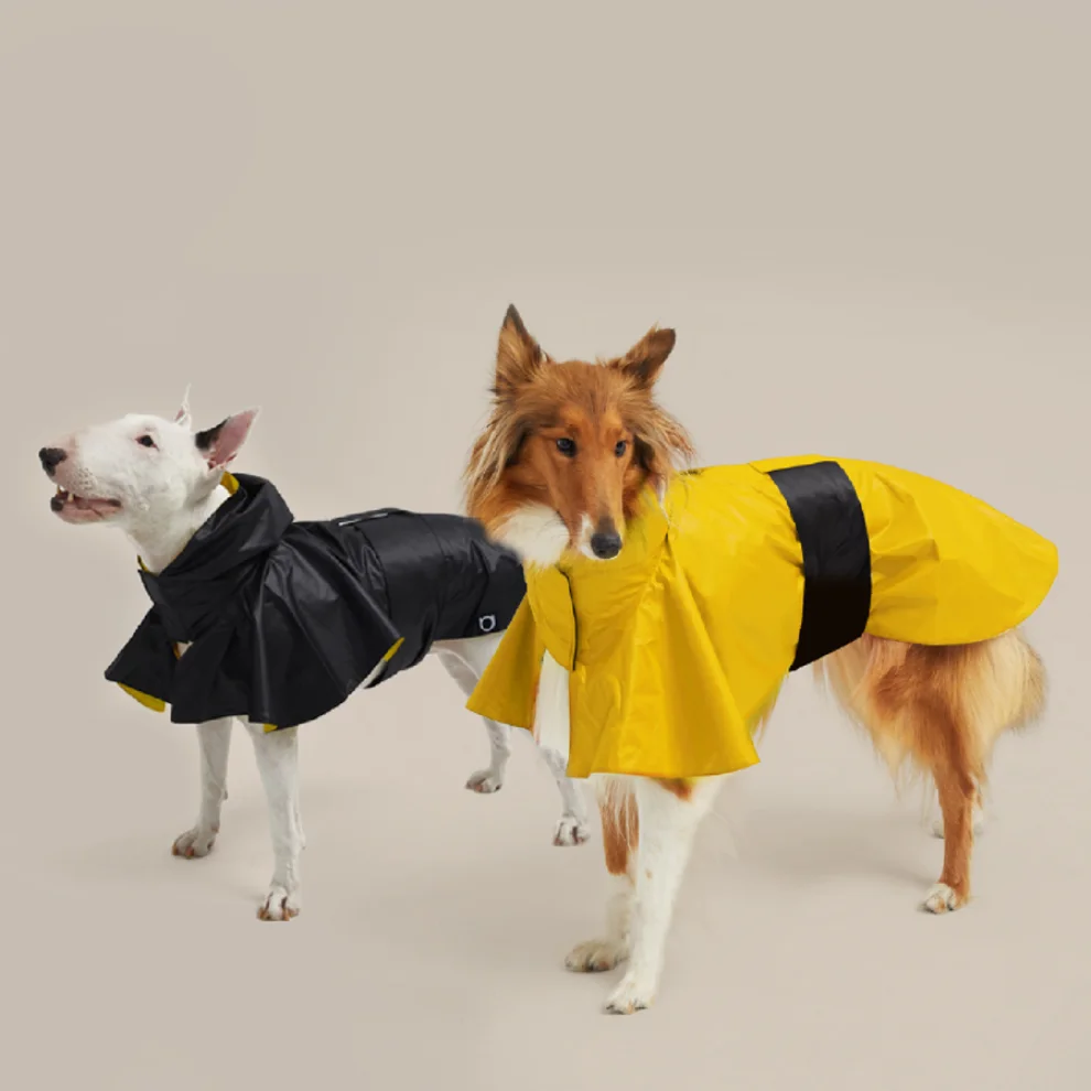 Coucou - Peritas Raincoat