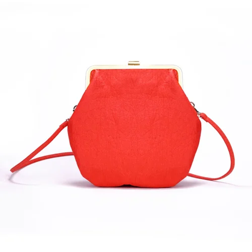 Ayanas - Zea Clasp Crossbody Bag