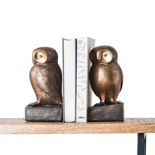Warm Design	 - Owl Book Regulator
