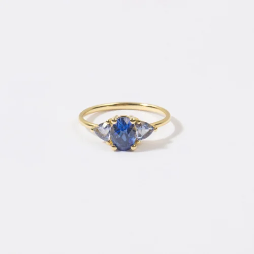 The Anoukis - Blue Sapphire And Aquamarine 14k Diana Ring