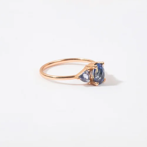 The Anoukis - Blue Sapphire And Aquamarine 14k Diana Ring