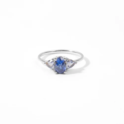 The Anoukis - Blue Sapphire And Aquamarine 14k Diana Ring