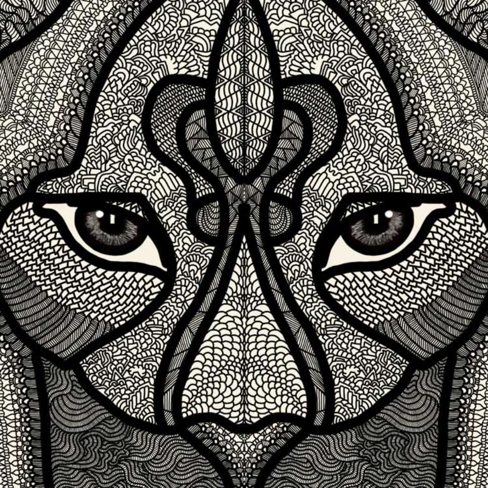 KOOL Studio - Tiger Poster