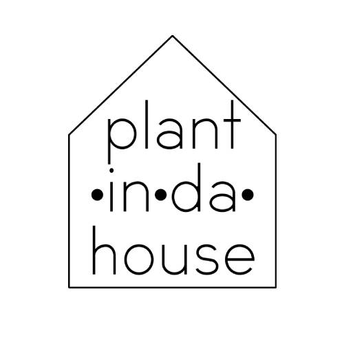 Plant in da House
