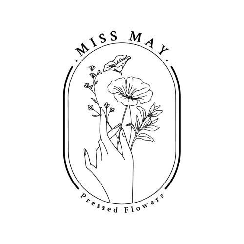 Miss May
