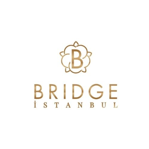 Bridge İstanbul