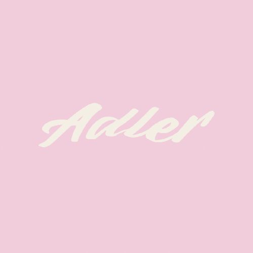 Adler Bag