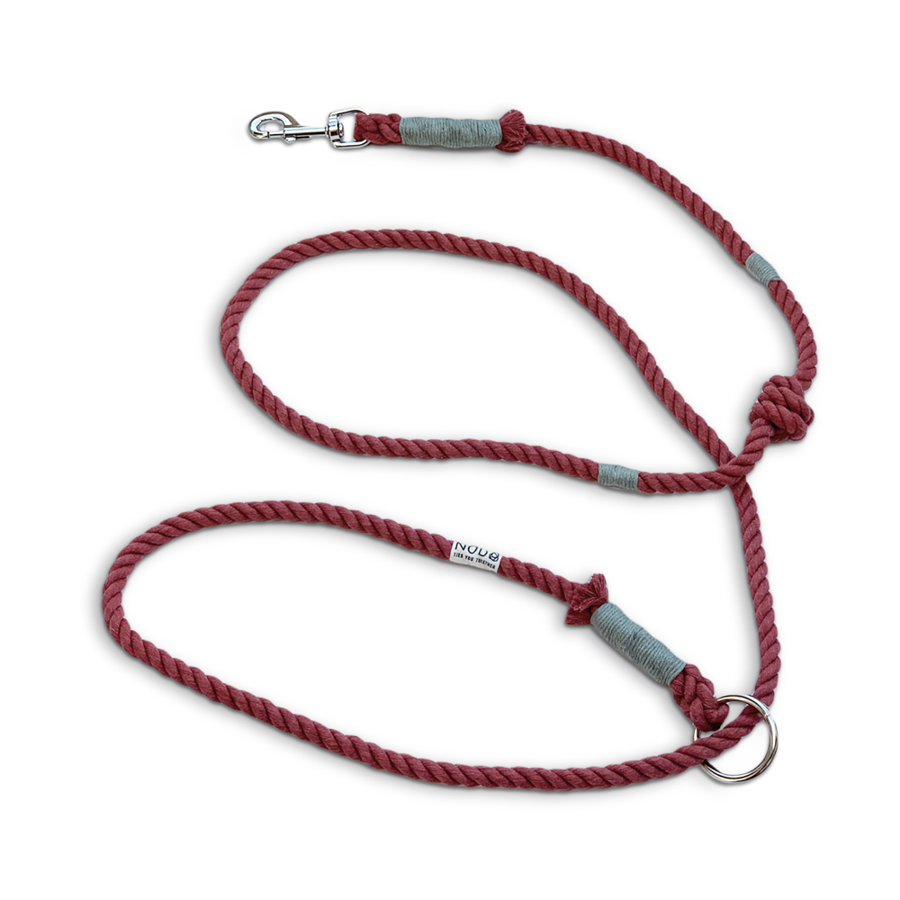 Nodo Handsfree Dog Leash