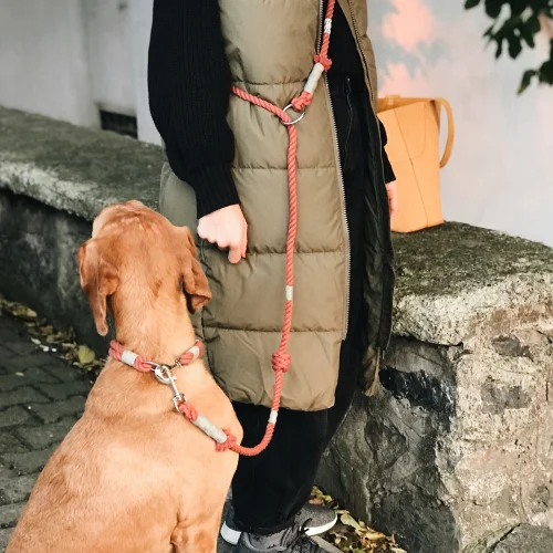 Nodo İstanbul - Nodo Handsfree Köpek Tasması