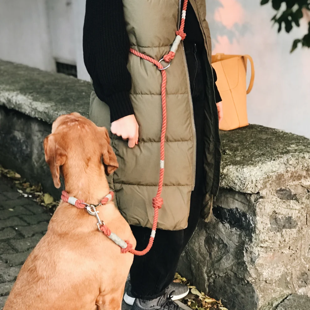 Nodo İstanbul - Nodo Handsfree Dog Leash