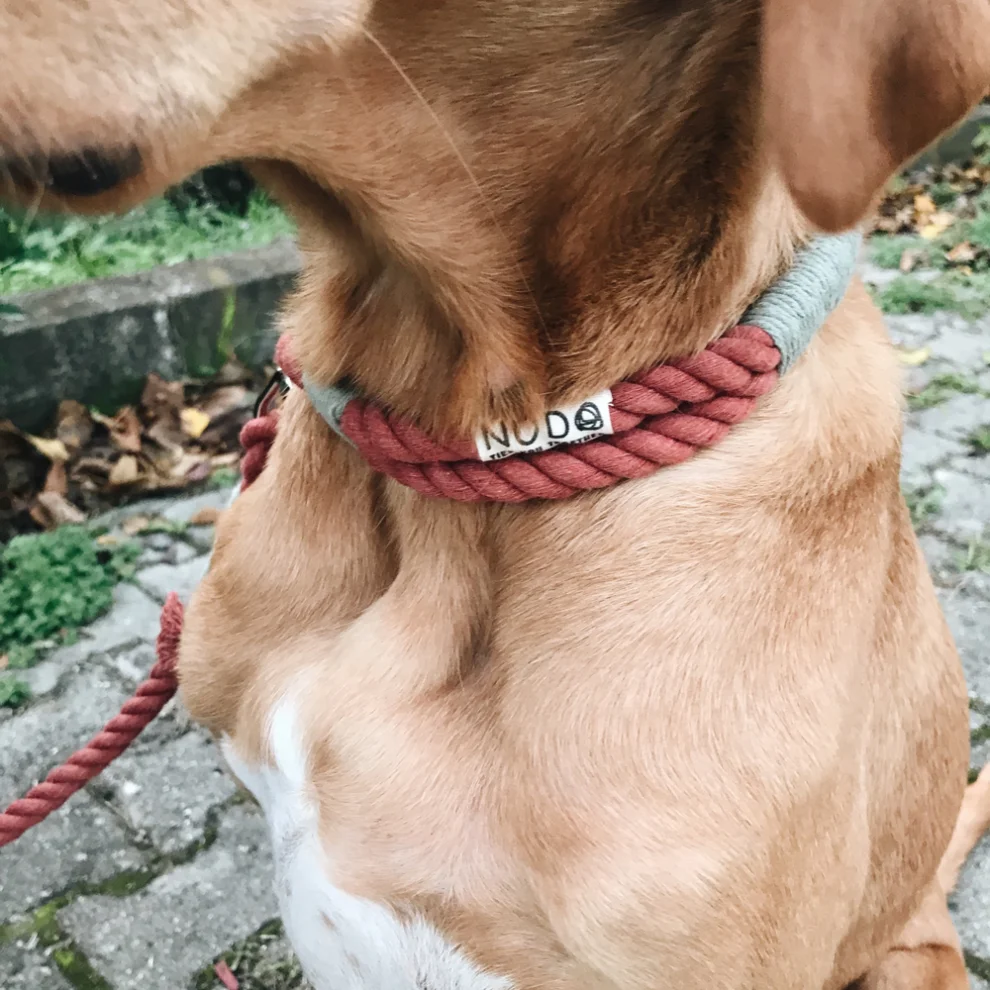 Nodo İstanbul - Nodo Dog Collar