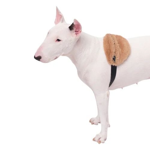Coucou - Ciconia X Coucou Thebe Pet Waist Bag
