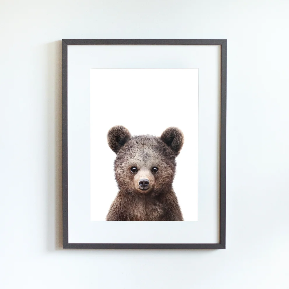 Little Forest Animals - Paul The Bear